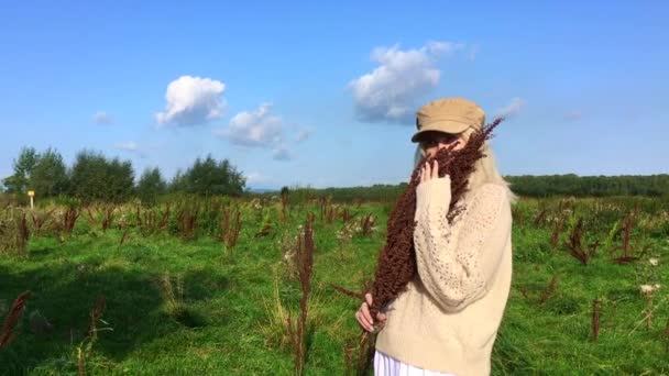 Joyeux belle femme blonde marchant dans un champ vert avec un bouquete de plantes brunes sèches — Video