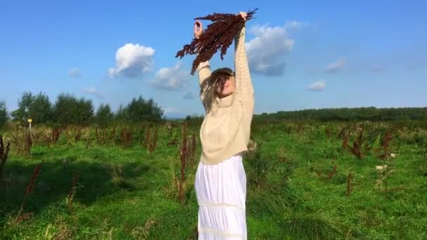 Happy beautiful blond woman walking in a green field with a bouquete of dry brown plants — Stock Video