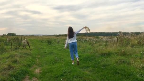 Felice bella ragazza bruna adolescente camminando sulla strada in un campo verde durante il tramonto bello con cielo colorato . — Video Stock