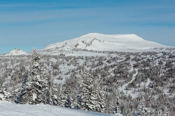 Linda paisagem de inverno. Floresta coberta de neve e montanha . — Fotografia de Stock