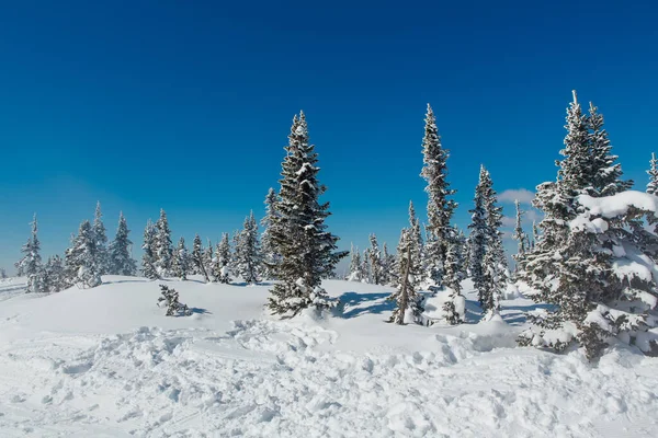 Linda paisagem de inverno. Floresta coberta de neve e montanha . — Fotografia de Stock