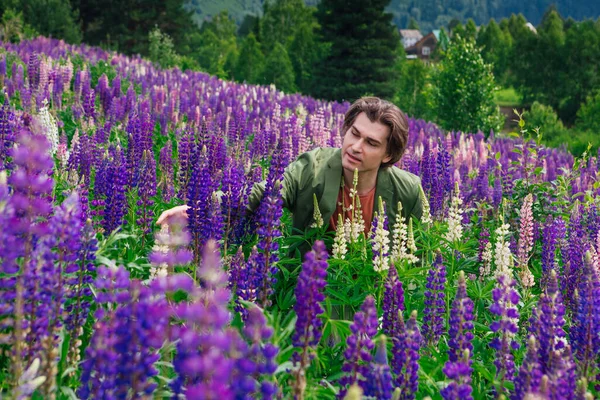 Tall handsome man in a green jacket standing on lupine flowers field, enjoing the beauty of nature. Man surrounded by purple and pink lupines.