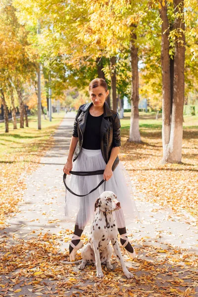 黄金の秋の公園でダルマチア犬とバレリーナ 女性バレリーナでホワイトバレエスカートと黒革のジャケットダンスでポイントシューズで秋の公園で彼女のきれいなダルマチア犬 — ストック写真