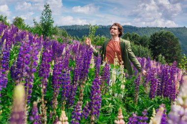 Yeşil ceketli uzun boylu yakışıklı bir adam lupin çiçeği tarlasında duruyor, doğanın güzelliğini emrediyor. Mor ve pembe lupinlerle çevrili bir adam..