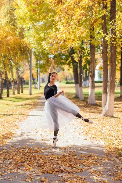 Vrouwelijke Ballerina Een Witte Balletrok Dansend Puntschoenen Een Gouden Herfstpark — Stockfoto