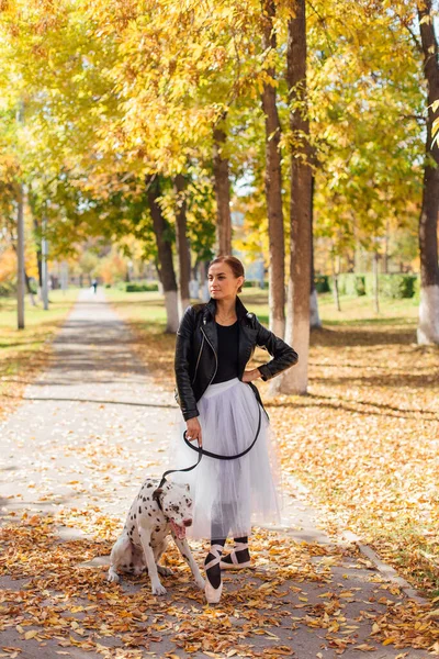 Ballerina with Dalmatian dog in the golden autumn park. Woman ballerina in a white ballet skirt and black leather jacket dancing in pointe shoes in autumn park with her spotty dalmatian dog.