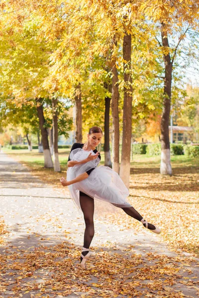 Beyaz Etekli Kadın Balerin Altın Bir Sonbahar Parkında Sivri Ayakkabılarla — Stok fotoğraf