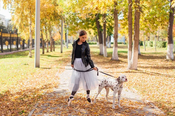 Ballerina Dalmatian Dog Golden Autumn Park Woman Ballerina White Ballet — Stock Photo, Image