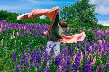 Yeşil ceketli uzun boylu yakışıklı bir adam lupin çiçekleri tarlasında duruyor pembe bir bezle, doğanın güzelliğini emrediyor. Mor ve pembe lupinlerle çevrili bir adam..