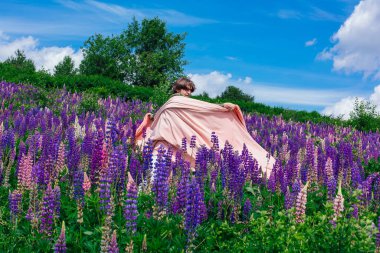 Yeşil ceketli uzun boylu yakışıklı bir adam lupin çiçekleri tarlasında duruyor pembe bir bezle, doğanın güzelliğini emrediyor. Mor ve pembe lupinlerle çevrili bir adam..