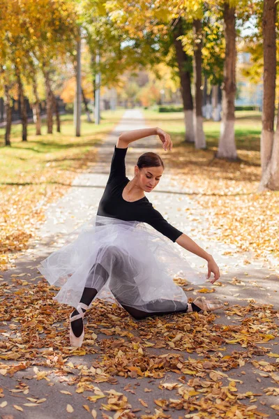 Ballerina donna in gonna bianca ballerina in scarpe da punta in un parco autunnale dorato su foglie secche gialle. — Foto Stock