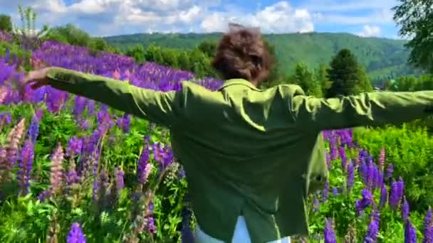 Lång stilig man går på lupine blommor fält och viftande händer — Stockvideo