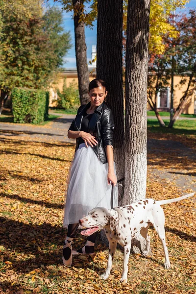 Ballerina with Dalmatian dog in the golden autumn park. Woman ballerina in a white ballet skirt and black leather jacket dancing in pointe shoes in autumn park with her spotty dalmatian dog.