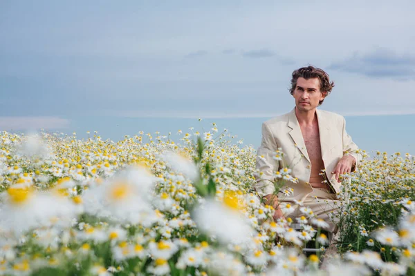 背の高いハンサムな男の服を着た白いスーツで裸の体に座っている上に白い椅子でカモミールの花のフィールド — ストック写真