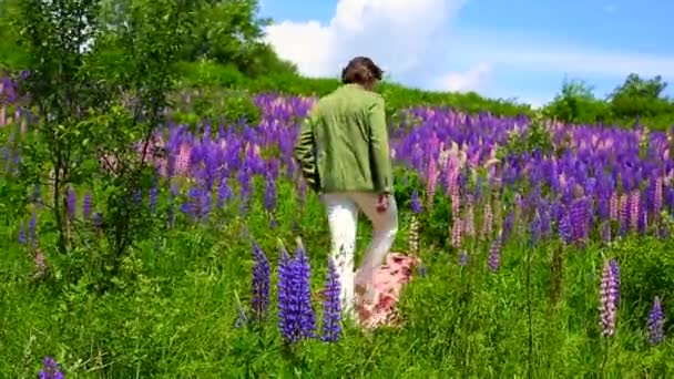 Tall handsome man walking on a pink cloth in lupine flowers field — Stock Video