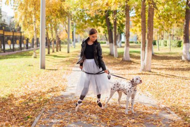 Altın sonbahar parkında Dalmaçyalı bir köpekle balerin. Beyaz balerin etekli ve siyah deri ceketli bir kadın. Sonbahar parkında benekli dalmaçyalı köpeğiyle dans ediyor..