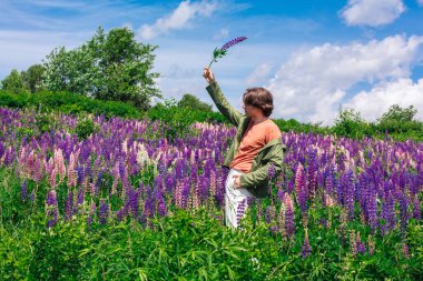 Yeşil ceketli uzun boylu yakışıklı bir adam lupin çiçeği tarlasında duruyor elinde lupin çiçekleri, doğanın güzelliğini emrediyor. Mor ve pembe lupinlerle çevrili bir adam..