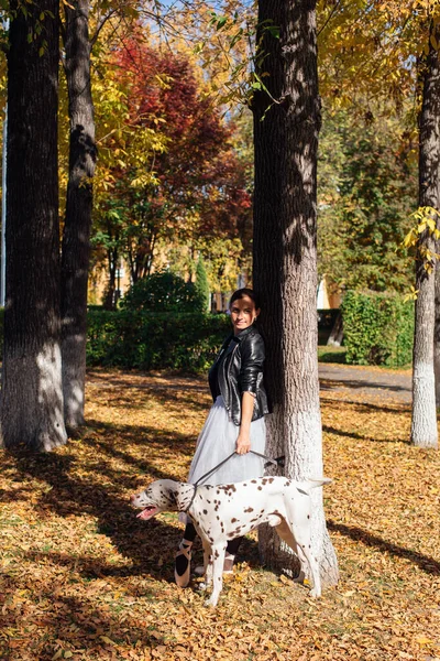 Bailarina Con Perro Dálmata Parque Dorado Otoño Bailarina Mujer Falda — Foto de Stock