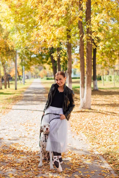 Ballerina Mit Dalmatinerhund Goldenen Herbstpark Ballerina Weißem Ballettrock Und Schwarzer — Stockfoto