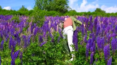 Uzun boylu, yakışıklı bir adam Lupin çiçeklerinin arasında dans ediyor.