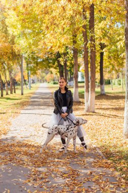Altın sonbahar parkında Dalmaçyalı bir köpekle balerin. Beyaz balerin etekli ve siyah deri ceketli bir kadın. Sonbahar parkında benekli dalmaçyalı köpeğiyle dans ediyor..