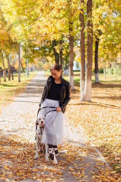 Ballerina with Dalmatian dog in the golden autumn park. Woman ballerina in a white ballet skirt and black leather jacket dancing in pointe shoes in autumn park with her spotty dalmatian dog.