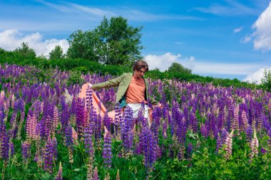 Yeşil ceketli uzun boylu yakışıklı bir adam lupin çiçekleri tarlasında duruyor pembe bir bezle, doğanın güzelliğini emrediyor. Mor ve pembe lupinlerle çevrili bir adam..