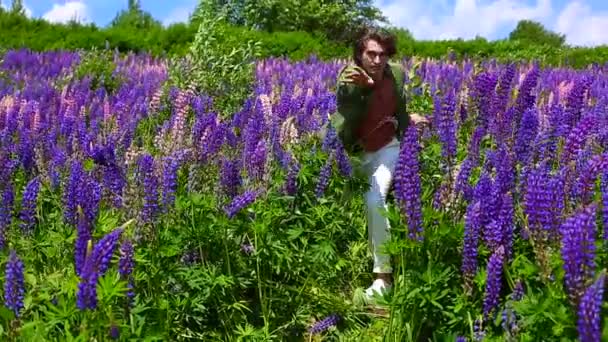 Lång stilig man dansar på lupine blommor fält — Stockvideo