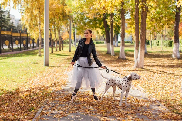 Ballerina with Dalmatian dog in the golden autumn park. Woman ballerina in a white ballet skirt and black leather jacket dancing in pointe shoes in autumn park with her spotty dalmatian dog.