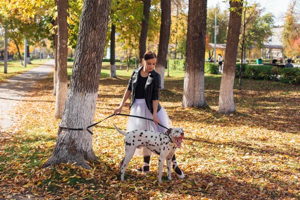 Ballerina with Dalmatian dog in the golden autumn park. Woman ballerina in a white ballet skirt and black leather jacket dancing in pointe shoes in autumn park with her spotty dalmatian dog.