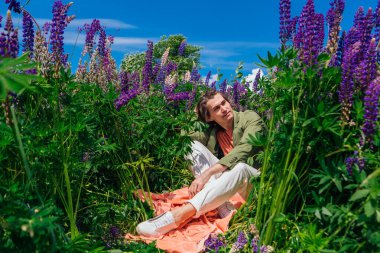 Yeşil ceketli uzun boylu yakışıklı bir adam lupin çiçeklerinin arasında oturmuş, doğanın güzelliğini emrediyor. Mor ve pembe lupinlerle çevrili bir adam..