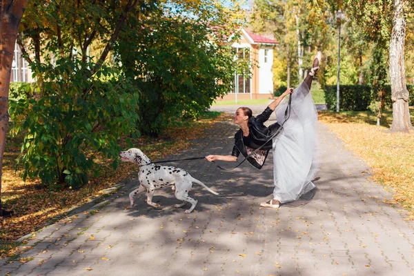 Ballerina Med Dalmatisk Hund Den Gyllene Höstparken Kvinna Ballerina Vit — Stockfoto