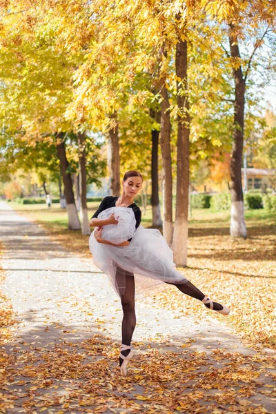 Жінка Балерина Білій Сукні Балету Танцює Точкових Туфлях Золотому Осінньому — стокове фото