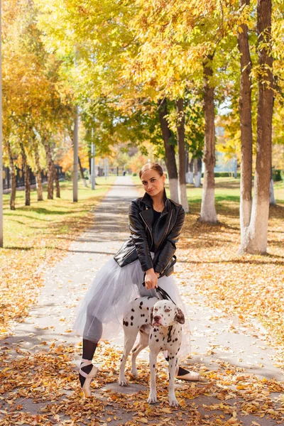 黄金の秋の公園でダルマチア犬とバレリーナ 女性バレリーナでホワイトバレエスカートと黒革のジャケットダンスでポイントシューズで秋の公園で彼女のきれいなダルマチア犬 — ストック写真