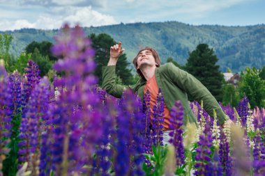 Yeşil ceketli uzun boylu yakışıklı bir adam lupin çiçeği tarlasında duruyor, doğanın güzelliğini emrediyor. Mor ve pembe lupinlerle çevrili bir adam..
