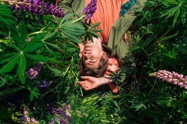 Lupine çiçeklerinin arasında yatan uzun boylu yakışıklı.