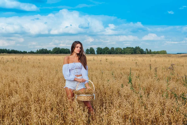 Rural Countryside Scene. Young beautiful woman with long hair dressed in white at golden oat field holding basket with ears of oats.