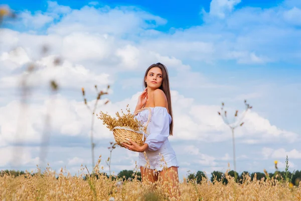 Rural Countryside Scene Wanita Cantik Dengan Rambut Panjang Berpakaian Putih — Stok Foto