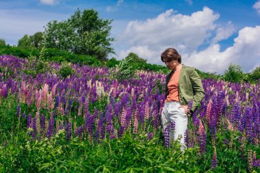 Yeşil ceketli uzun boylu yakışıklı bir adam lupin çiçeği tarlasında duruyor, doğanın güzelliğini emrediyor. Mor ve pembe lupinlerle çevrili bir adam..