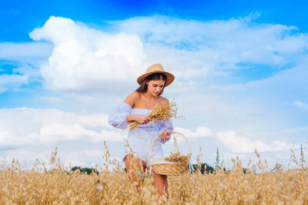 Rural Countryside Scene. Young beautiful woman with long hair dressed in white blouse and straw hat standing at golden oat field holding basket with ears of oats.