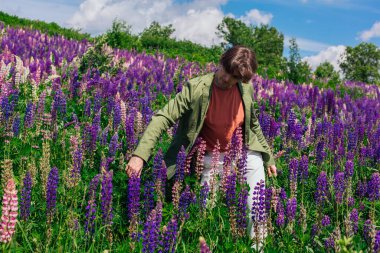 Yeşil ceketli uzun boylu yakışıklı bir adam lupin çiçeği tarlasında dans ediyor, doğanın güzelliğini emrediyor. Mor ve pembe lupinlerle çevrili bir adam..