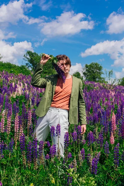 Tall handsome man in a green jacket standing on lupine flowers field holding lupine flowers in hand, enjoing the beauty of nature. Man surrounded by purple and pink lupines.