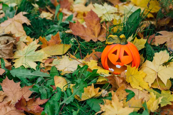 Cute Uśmiechnięta Dekoracyjna Dynia Halloween Jesiennym Lesie Żółtych Liściach Klonu — Zdjęcie stockowe