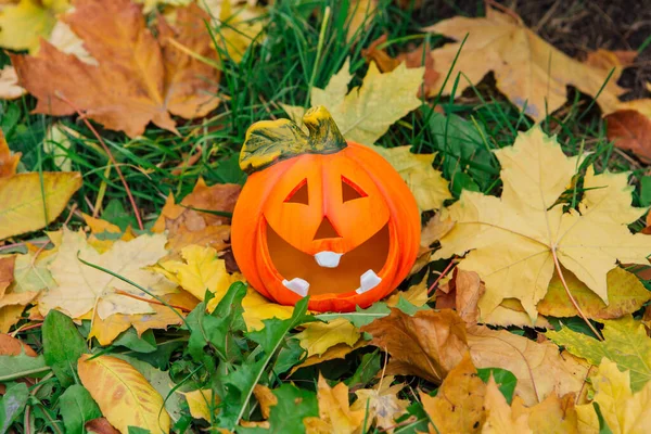 Cute Uśmiechnięta Dekoracyjna Dynia Halloween Jesiennym Lesie Żółtych Liści Klonu — Zdjęcie stockowe