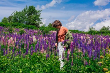 Yeşil ceketli uzun boylu yakışıklı bir adam lupin çiçeği tarlasında duruyor cebinde lupin çiçekleri, doğanın güzelliğini emrediyor. Mor ve pembe lupinlerle çevrili bir adam..