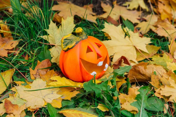 Cute Uśmiechnięta Dekoracyjna Dynia Halloween Jesiennym Lesie Żółtych Liści Klonu — Zdjęcie stockowe