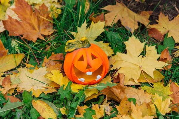 Cute Uśmiechnięta Dekoracyjna Dynia Halloween Jesiennym Lesie Żółtych Liści Klonu — Zdjęcie stockowe