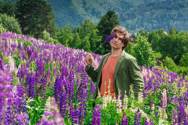 Tall handsome man in a green jacket standing on lupine flowers field, enjoing the beauty of nature. Man surrounded by purple and pink lupines.