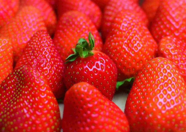 Hintergrund sind frisch und schmackhaft geerntete Erdbeeren. Lebensmittel-Hintergrund. — Stockfoto