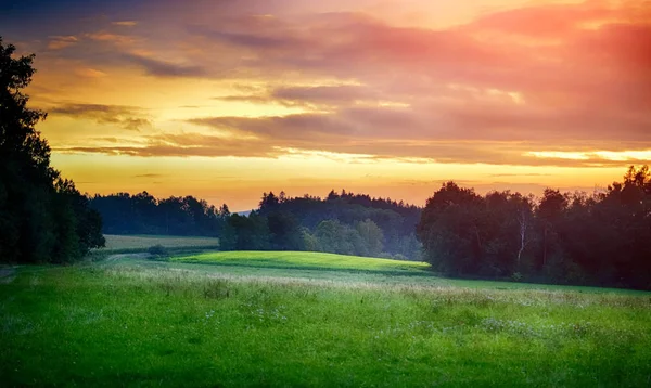 Dağlık arazide gün batımı. Yaz aylarında tarlalar, ormanlar ve havacı gökyüzü.
